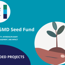 Seed fund 2024-2025 